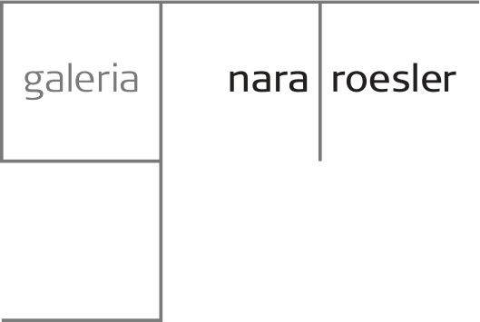 Galeria nara roesler