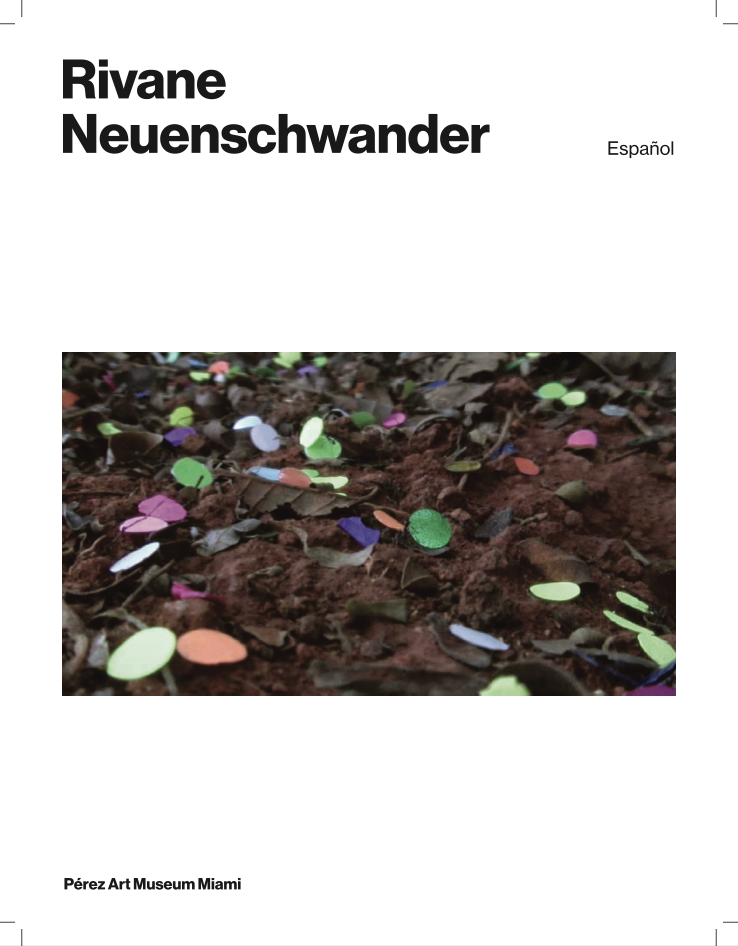 Rivane Neuenschwander Gallery Notes: Español